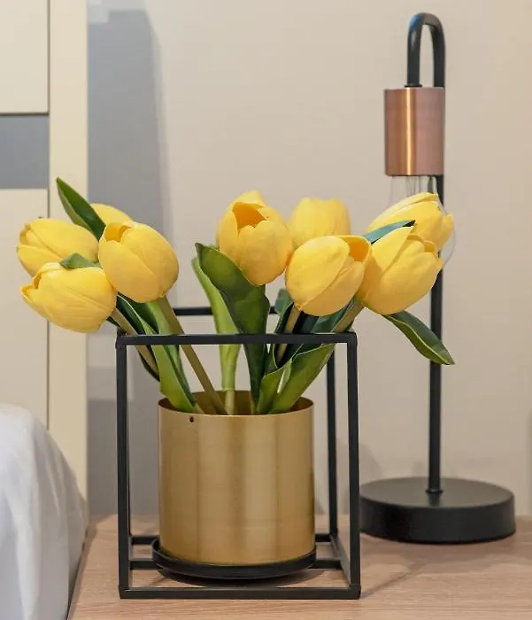 3D KOSCIUSZKI 19 Apartament-1